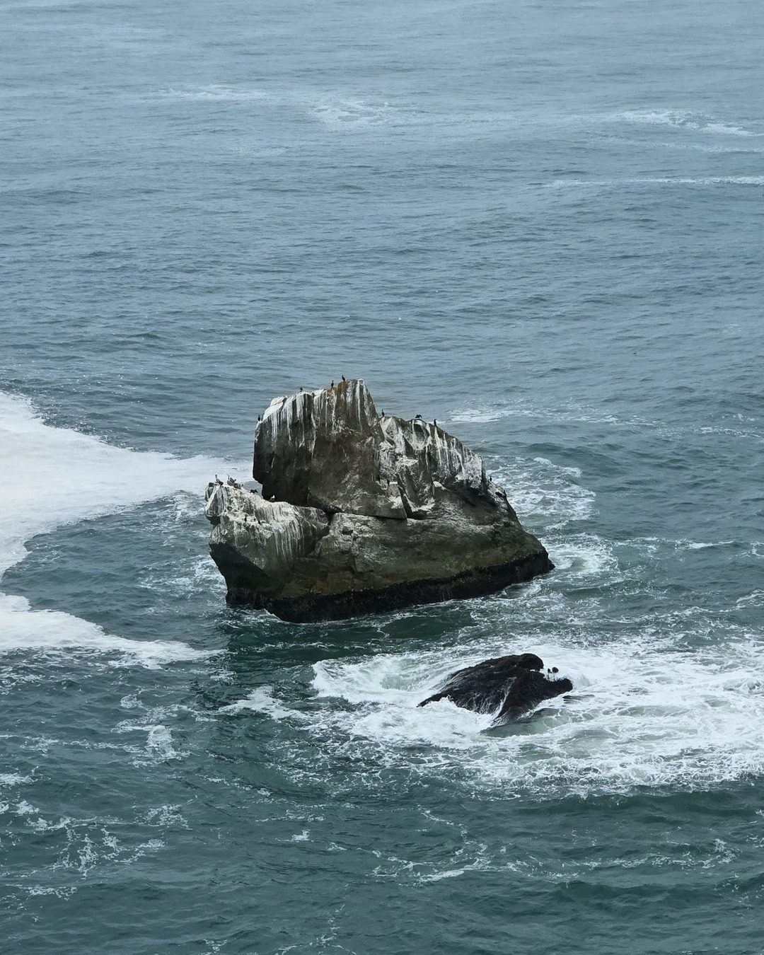 Coastline from above